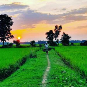 6 Bigha Land Sale @Pubail