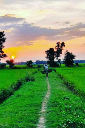 6 Bigha Land Sale @Pubail